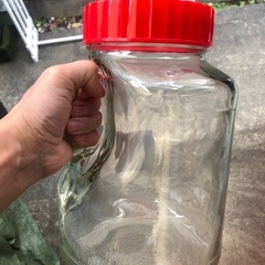 梅、フルーツ、らっきょなどをの画像