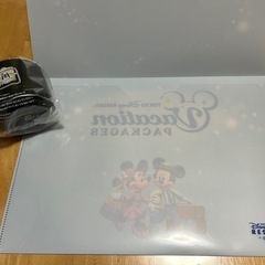 ディズニーワンバケファイル＆プラコップの画像