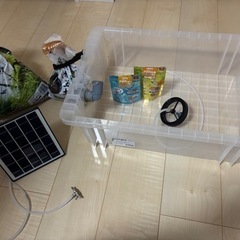 メダカ飼育セット
