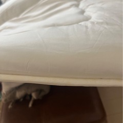2/19まで！！   敷布団の画像