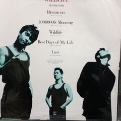 (中古 LPレコード)WILDLIFE‐織田哲郎の画像