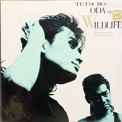 (中古 LPレコード)WILDLIFE‐織田哲郎の画像