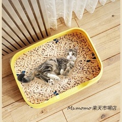 決まりました【新品未使用】猫トイレ 本体 ネコトイレ猫用トイレ キャットトイレ 大型 猫トイレ 飛び散らない TALL WALL BOX ネコ ねこ カバー 洗える ドア付き 箱型 深め 高めフルカバー ペットケア 掃除 大容量 スコップ付き 猫用トイレ 大きめ 抗菌防臭の画像