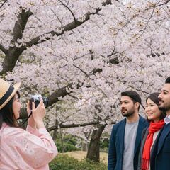 📸✨ おおさか写真仲間を募集しています！ ✨📸