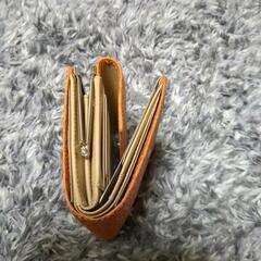 【値下】【未使用】braccialini型押のお財布の画像