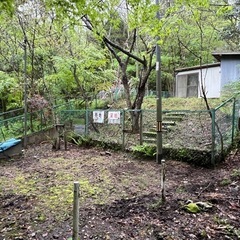 神戸　市ケ原周辺にある土地と倉庫の賃貸 - 賃貸（マンション/一戸建て）