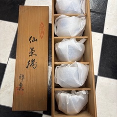 湯呑み5個入り