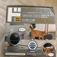 見守りカメラ