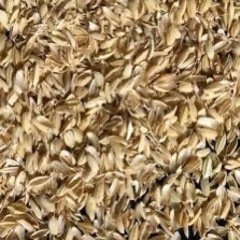籾殻　もみがら　欲しいです。