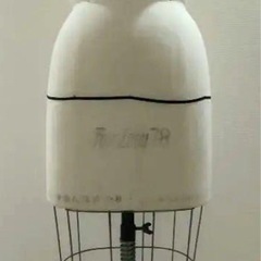 七彩 人台 ボディ トルソー 送料込 11MISS 身長155c...