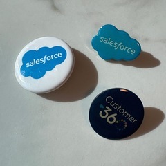 Salesforce バッジ