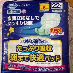 【22枚入 4袋 】エルモア いちばん たっぷり吸収 朝まで快適...