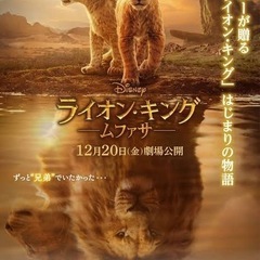 ライオンキング見に行きませんか？？