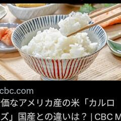 🔴米価高止まりに朗報⁉️🔴