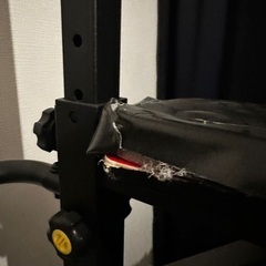 BARWING ぶら下がり健康器の画像