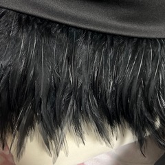 ファー　羽根付　クロップド丈五分袖トップスの画像