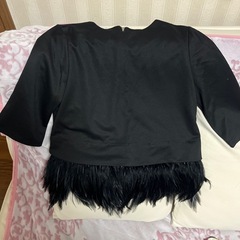ファー　羽根付　クロップド丈五分袖トップス