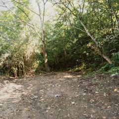 №466【新潟県三島郡出雲崎町】原野4筆あげます！まとまった4筆...