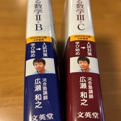 大学受験2次試験対策　合格数学ⅡＢとⅢＣの画像