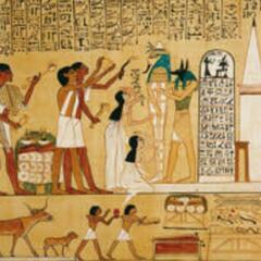 展示会一緒に行ける方🇯🇵🇪🇬