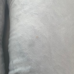 【決まりました】U型クッション グレー　カインズの画像