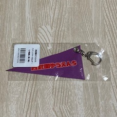 【新品・未使用】西武園ゆうえんち ★ ペナントキーホルダー (夕陽館と乗り物) 希少の画像