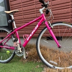 FUJI アブソルート