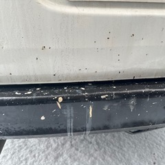 ファミリア 車検たっぷり!!の画像