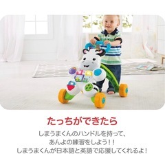 しまうまくんのバイリンガルウォーカーの画像