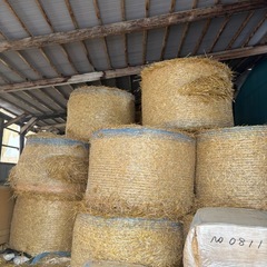 R6年産麦稈32個　商談中 R6年産麦稈32個 商談中