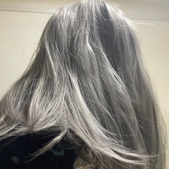 ウィッグ(シルバーグレー)の画像
