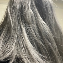 ウィッグ(シルバーグレー)の画像