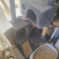 キャットタワーの画像