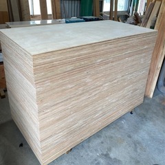 普通ベニヤ12×3×6