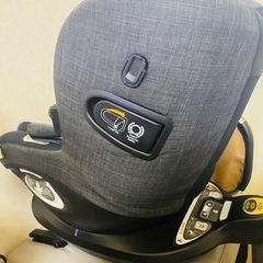 チャイルドシード2月28日まで (決まりました)の画像