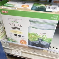 ボトリウム　2個セットの画像