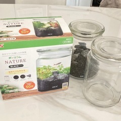 ボトリウム　2個セット