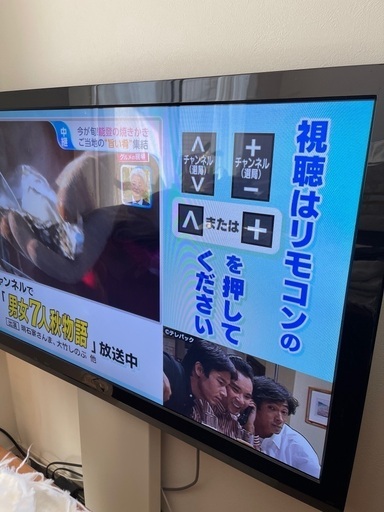 42インチ　テレビ