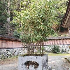 話せる友達