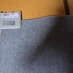 ホットカーペットと敷きじゅうたんセットの画像