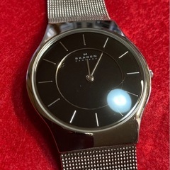 SKAGEN 腕時計　美品