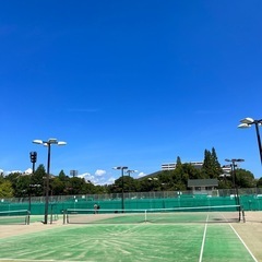 🎾2月9日(日)11時〜13時　硬式テニスしませんか？