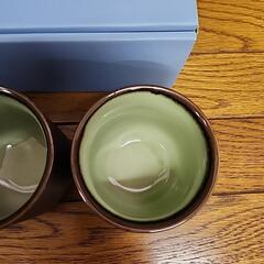 湯呑み セット コップ 松 和の画像