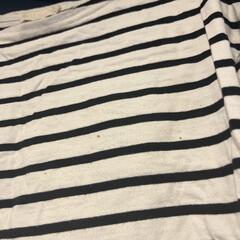 earth ストライプシャツの画像