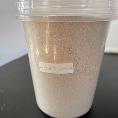 ミジンコ培養　ムックリワーク