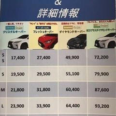 プロによる地域最安値キーパーコーティング