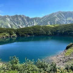 山友さん探してます