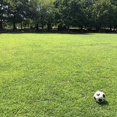 明日25日(土)の午前中で平和の森公園でサッカー⚽️蹴ってくれる方