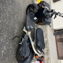 原付バイク　ズーマー　キック稼働　自賠責残りあり　ホンダ　バイク　ズーマー　の画像