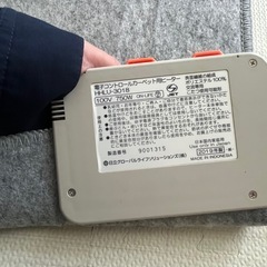 HITACHIホットカーペット の画像